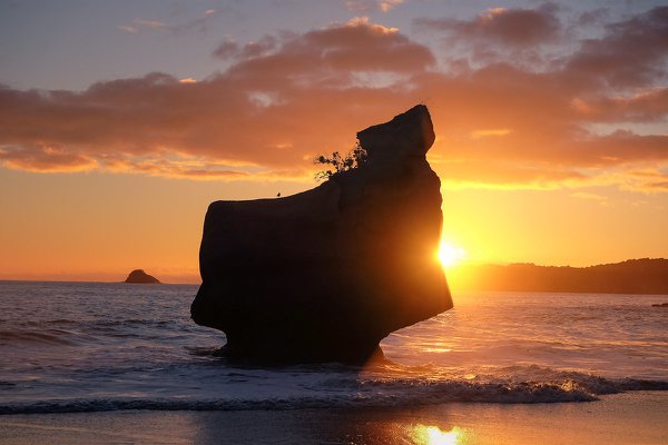NI08 - Peacefull birdy - Coromandel Peninsula, Waikato.jpg